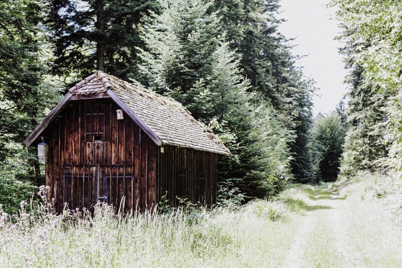 4-Zimmer-Ferienwohnung Waldbluemle Dobel Exterior photo